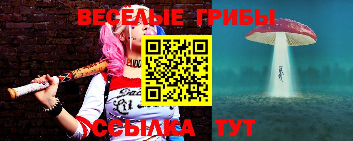 Псилоцибиновые грибы мухоморы  Вход с VPN  Заречный 